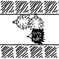 Play Prickle online
