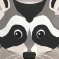 Play Raccoon Retail online