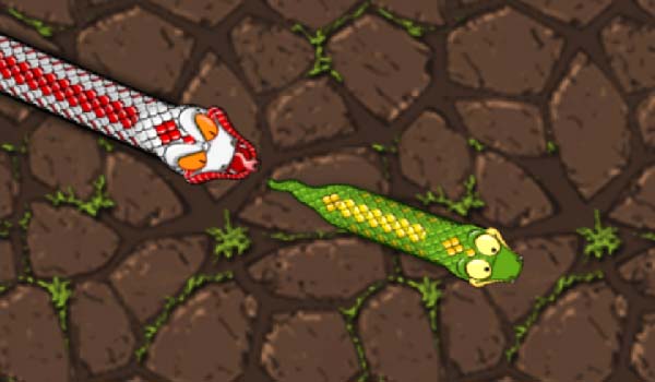 Snake Attack Play It Online At Coolmath Games