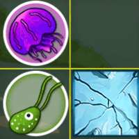 Play Species Morpher online
