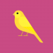 Yellow Bird Avatar