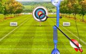 how to play archery world tour