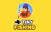 how to play Tiny Fishing