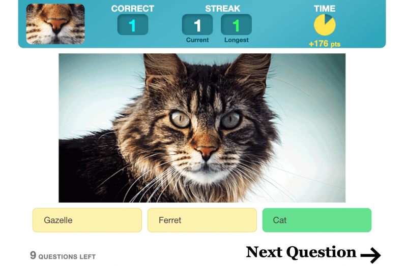 Trivia Games to Test Your Knowledge | Coolmath Games