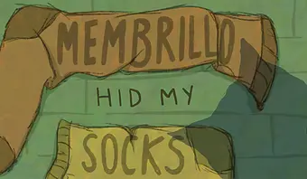 Membrillo Hid My Socks: So many colorful socks to find!